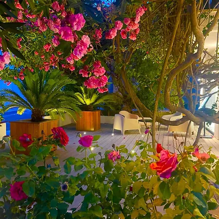 Le Mistral 호텔 3*