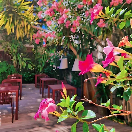 호텔 Le Mistral 3*