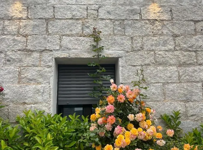 ホテル Le Mistral 3*